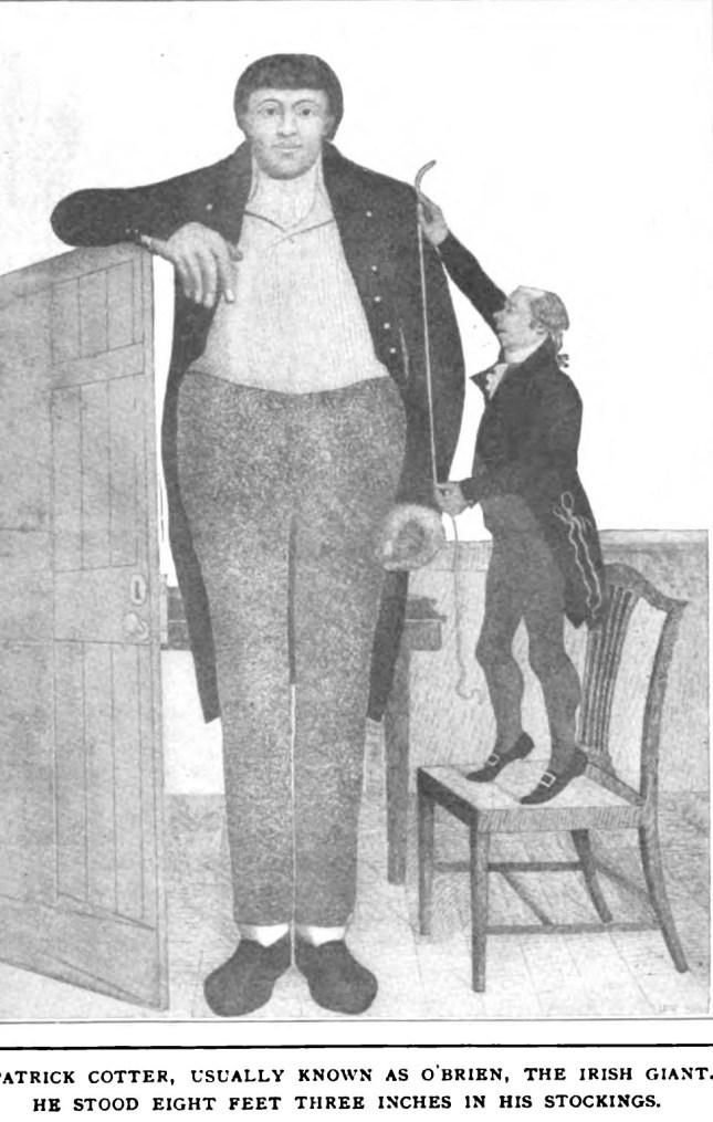 patrickcotterobrien (11).jpg